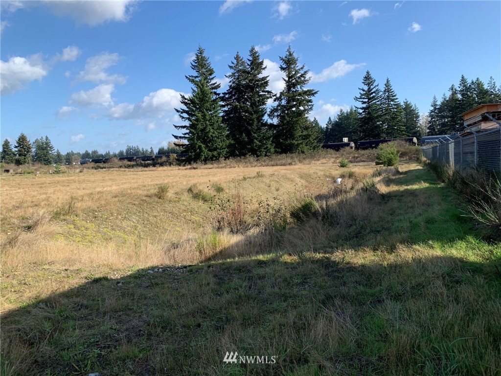 5805 192nd Avenue Southwest Rochester, WA 98579 - Photo 10 of 26 a view of a lake with a yard