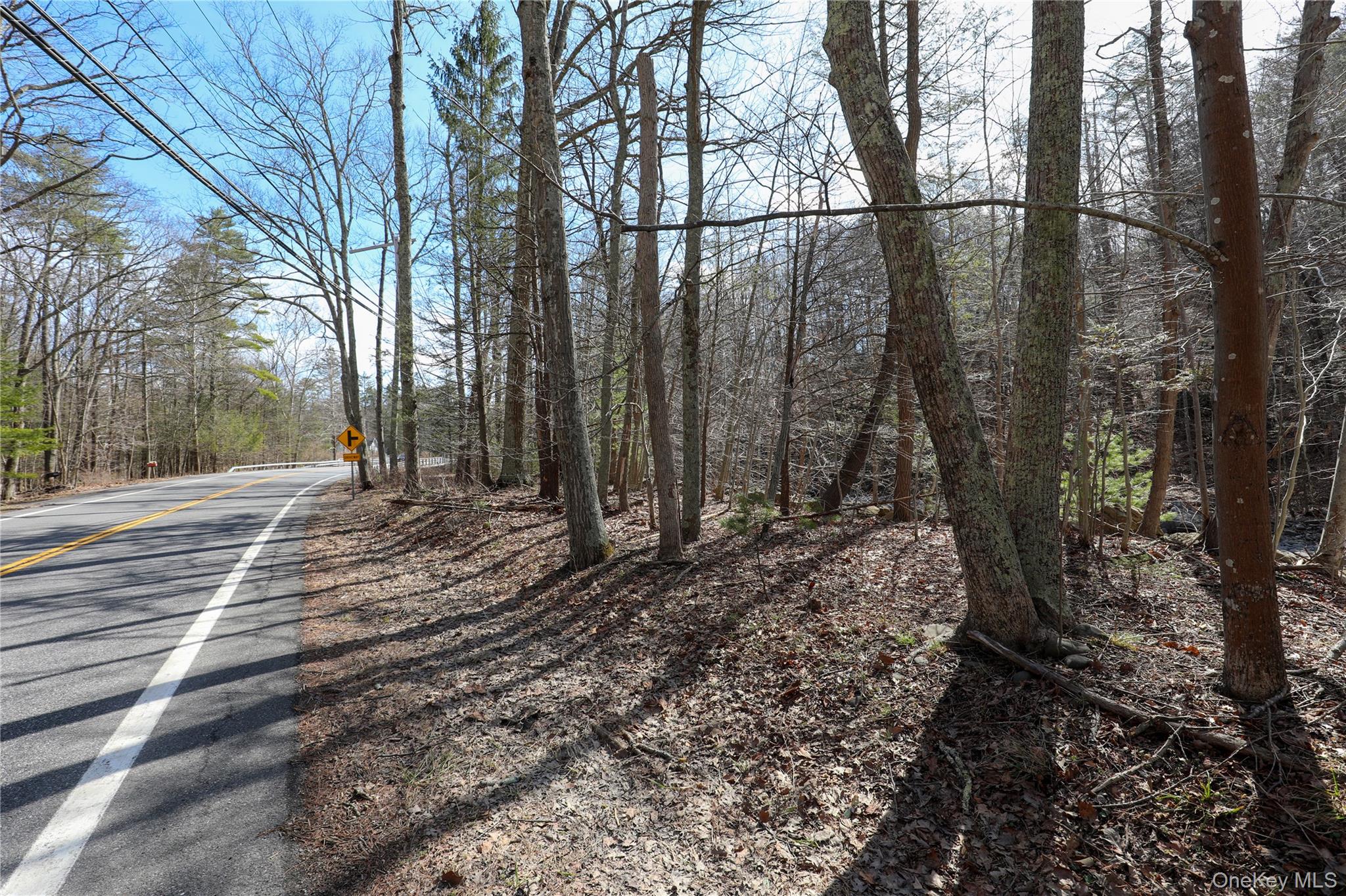 Tbd Rt-212 Woodstock, NY 12498 - Photo 4 of 10 a view of a yard with trees
