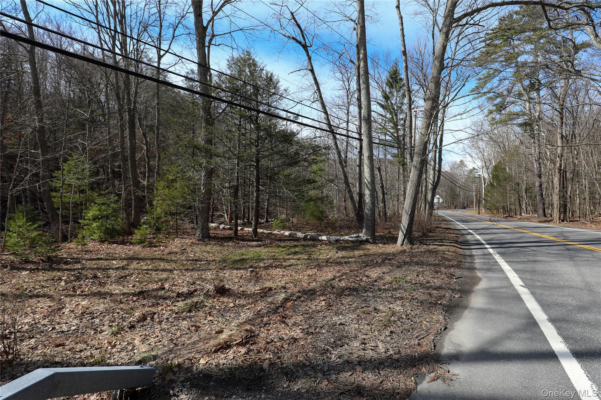 Tbd Rt-212 Woodstock, NY 12498 - Photo 5 of 10 a view of a backyard with large trees