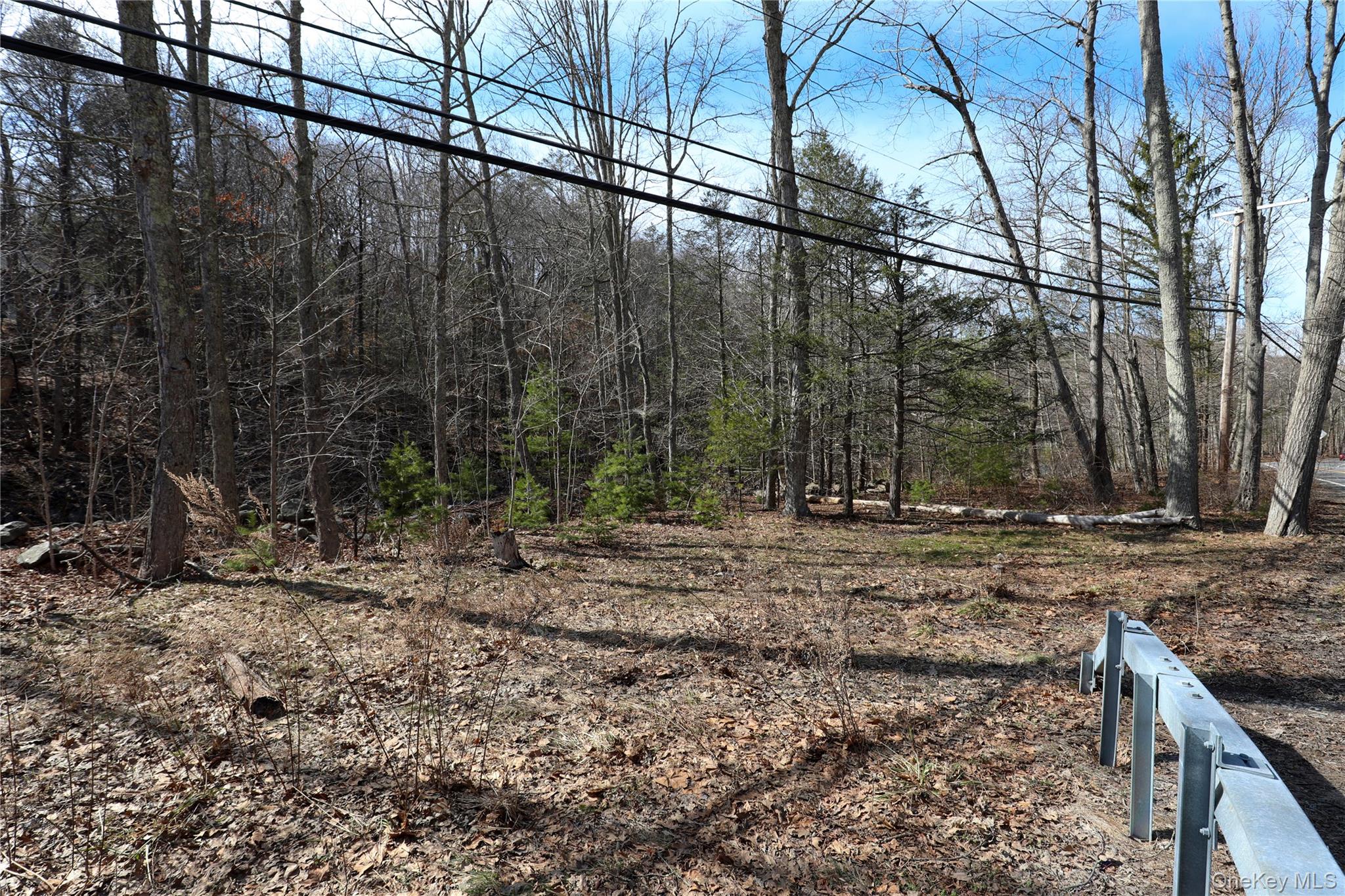 Tbd Rt-212 Woodstock, NY 12498 - Photo 6 of 10 a backyard of a house with lots of green space