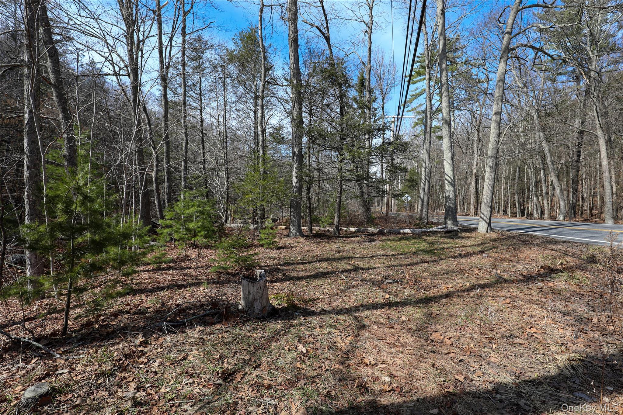 Tbd Rt-212 Woodstock, NY 12498 - Photo 7 of 10 a view of outdoor space with trees