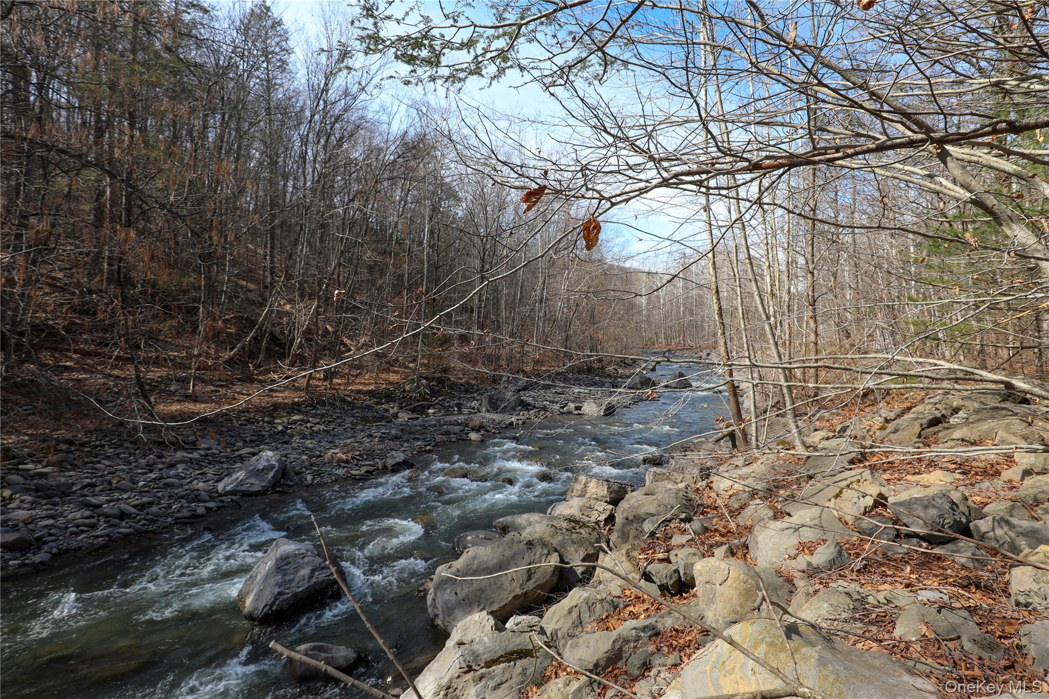 Tbd Rt-212 Woodstock, NY 12498 - Photo 8 of 10 a backyard of a house with lots of green space