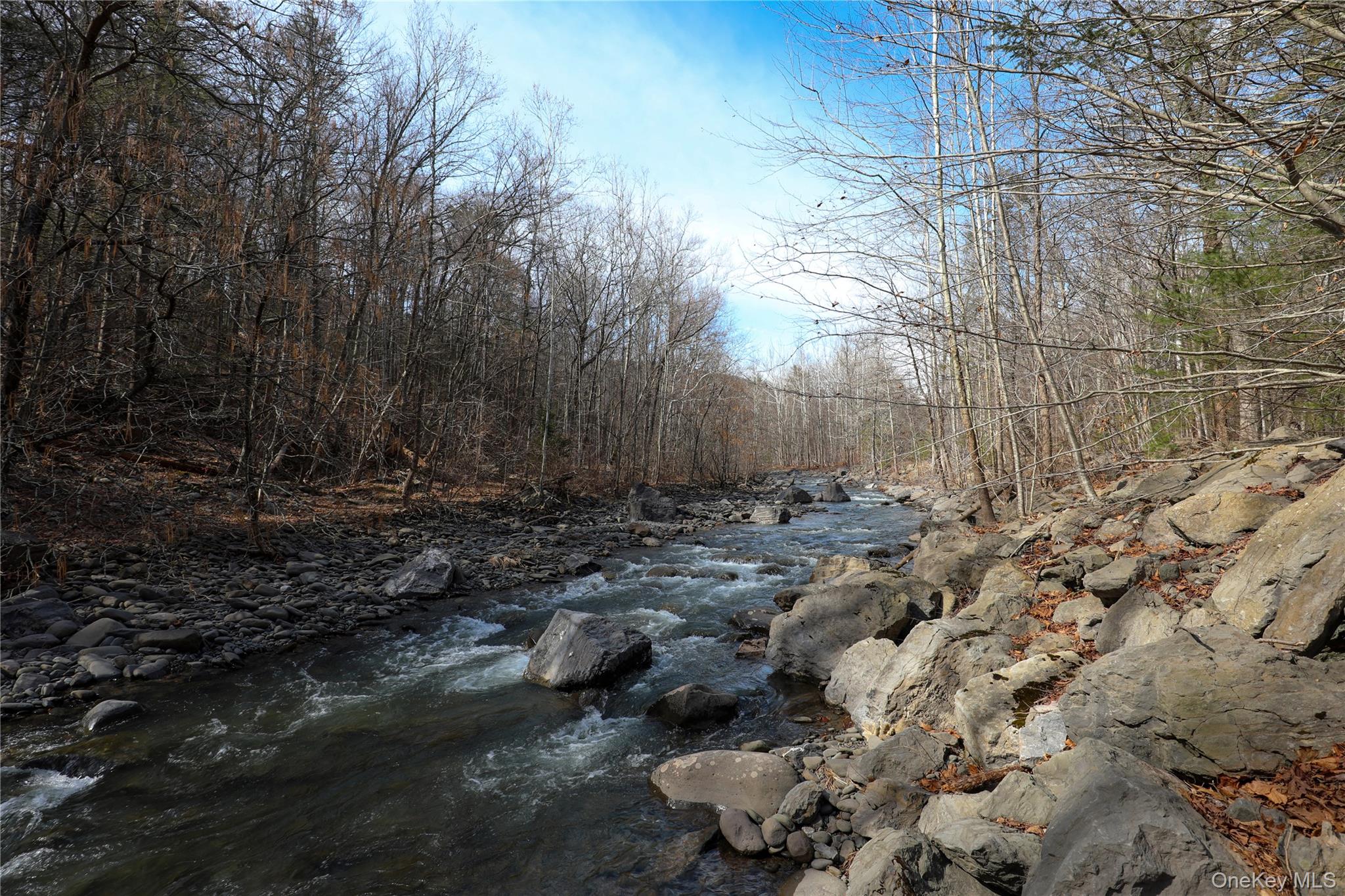 Tbd Rt-212 Woodstock, NY 12498 - Photo 9 of 10 a view of outdoor space and yard