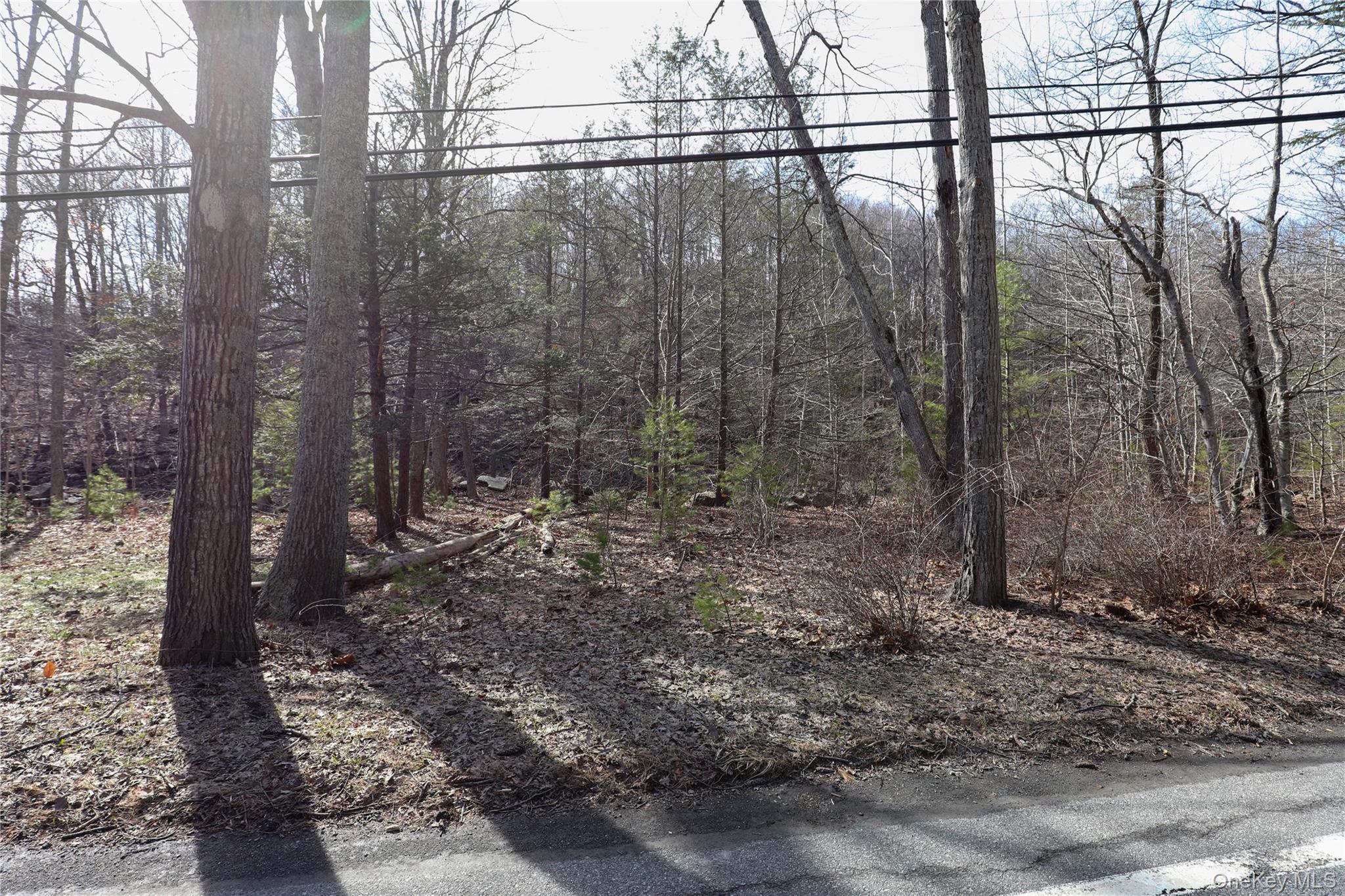 Tbd Rt-212 Woodstock, NY 12498 - Photo 10 of 10 a view of a forest