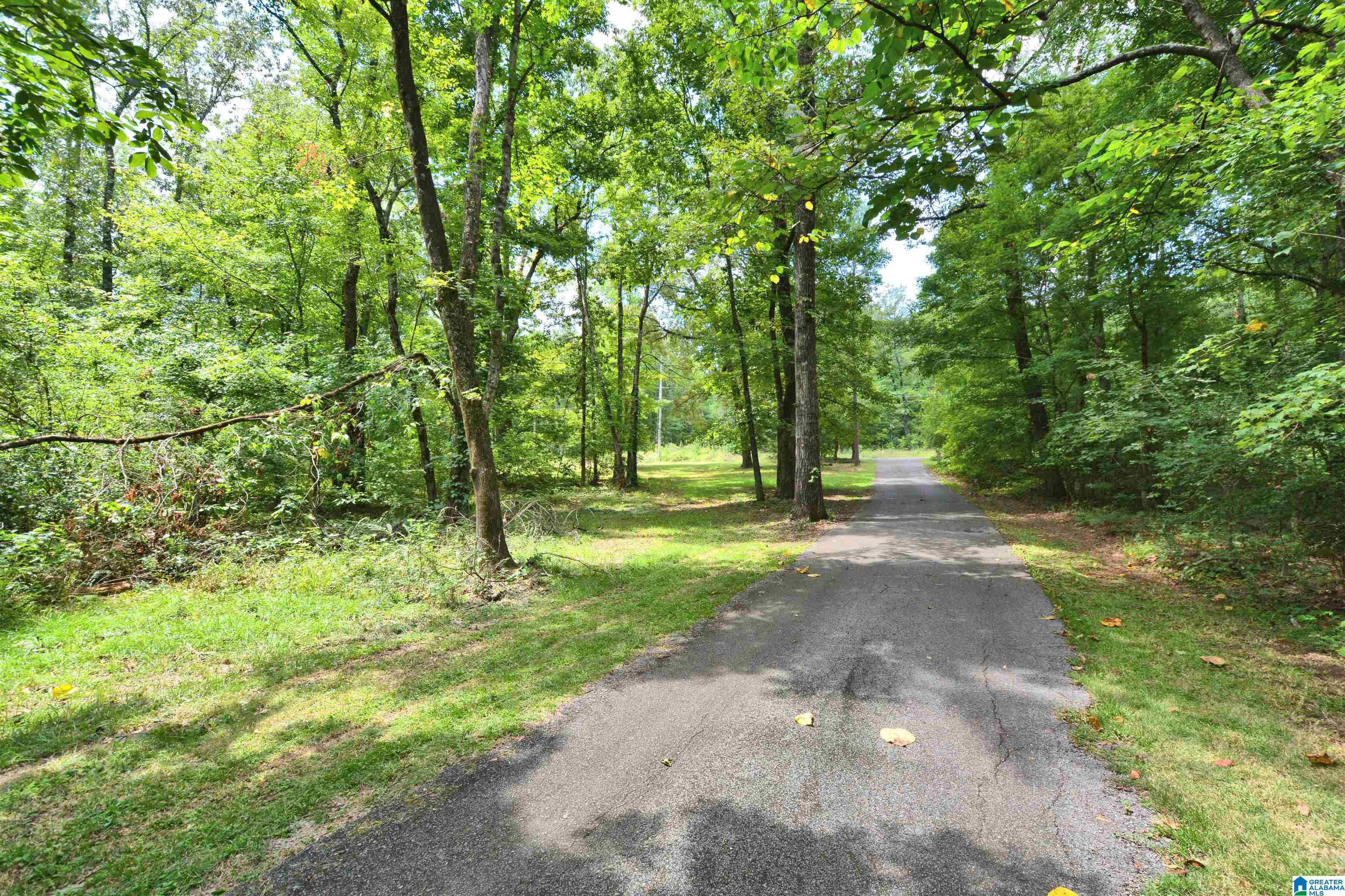 153 Chestnut Drive Alabaster, AL 35007 - Photo 2 of 52