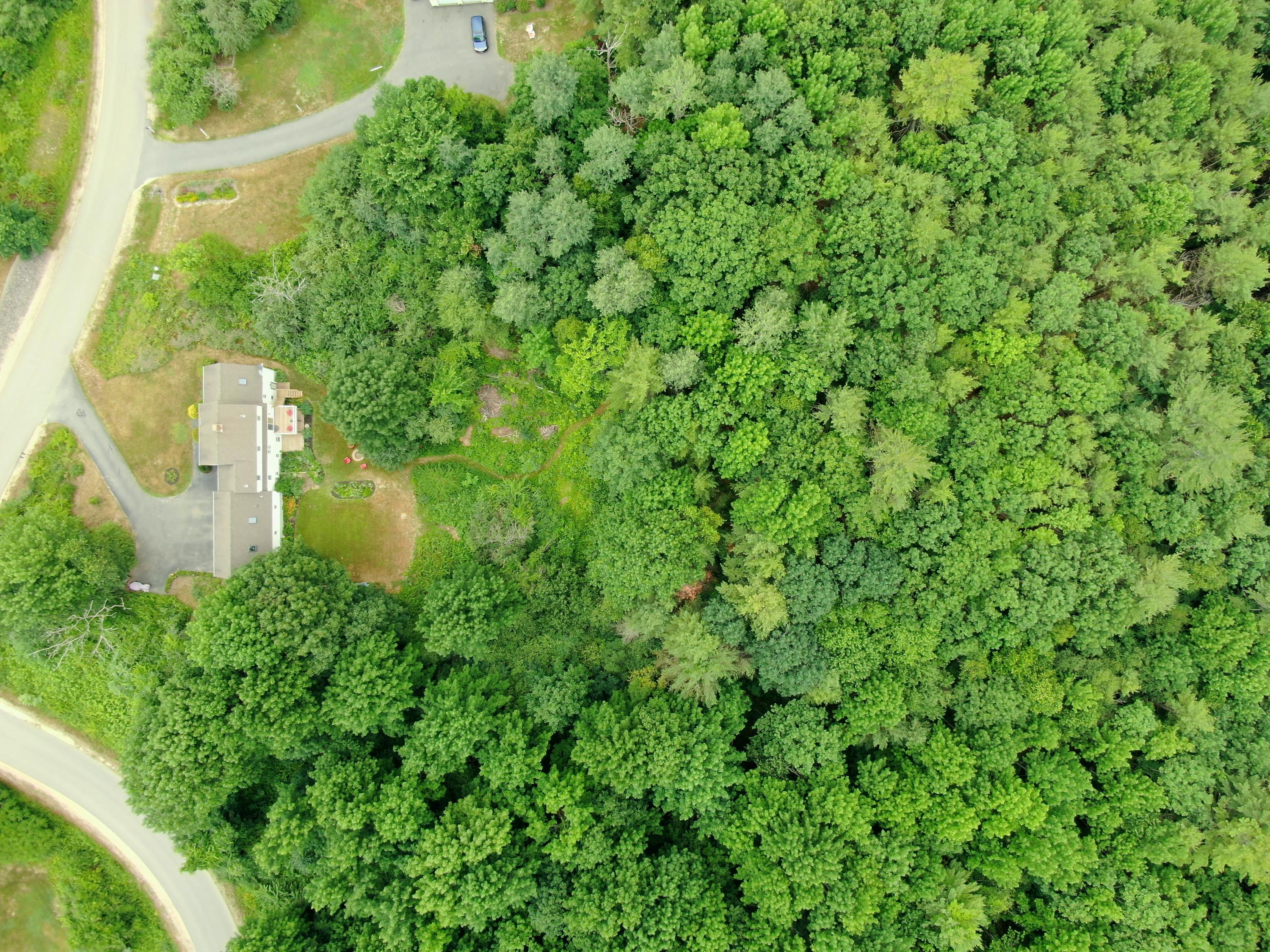 202 Harding Bridge Road Gorham, ME 04038 - Photo 77 of 80 09746B059D77F7D8FCF6E53FEDEC9502