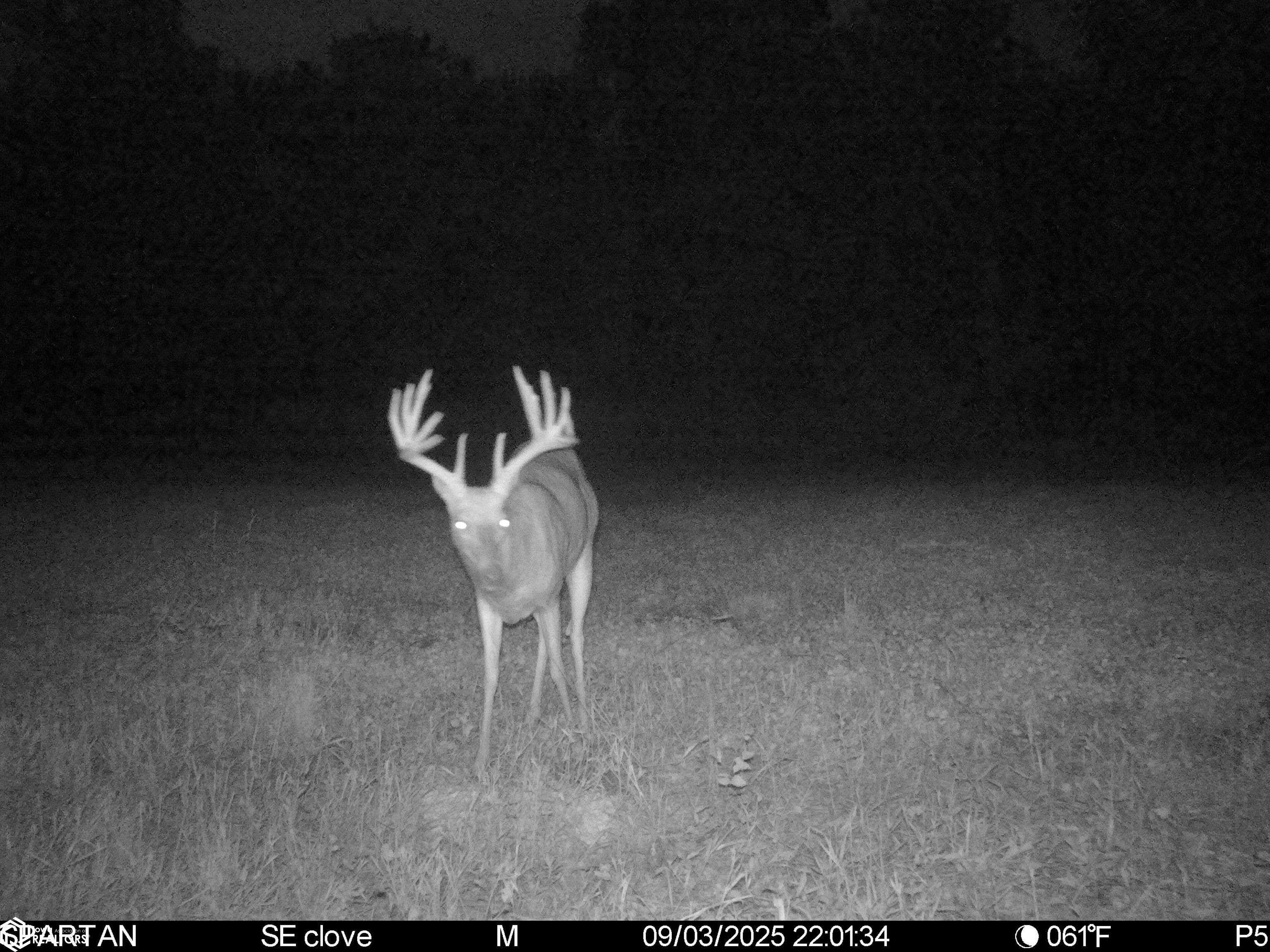 194th Avenue Decatur, IA 50067 - Photo 9 of 50 Gallery Image 9