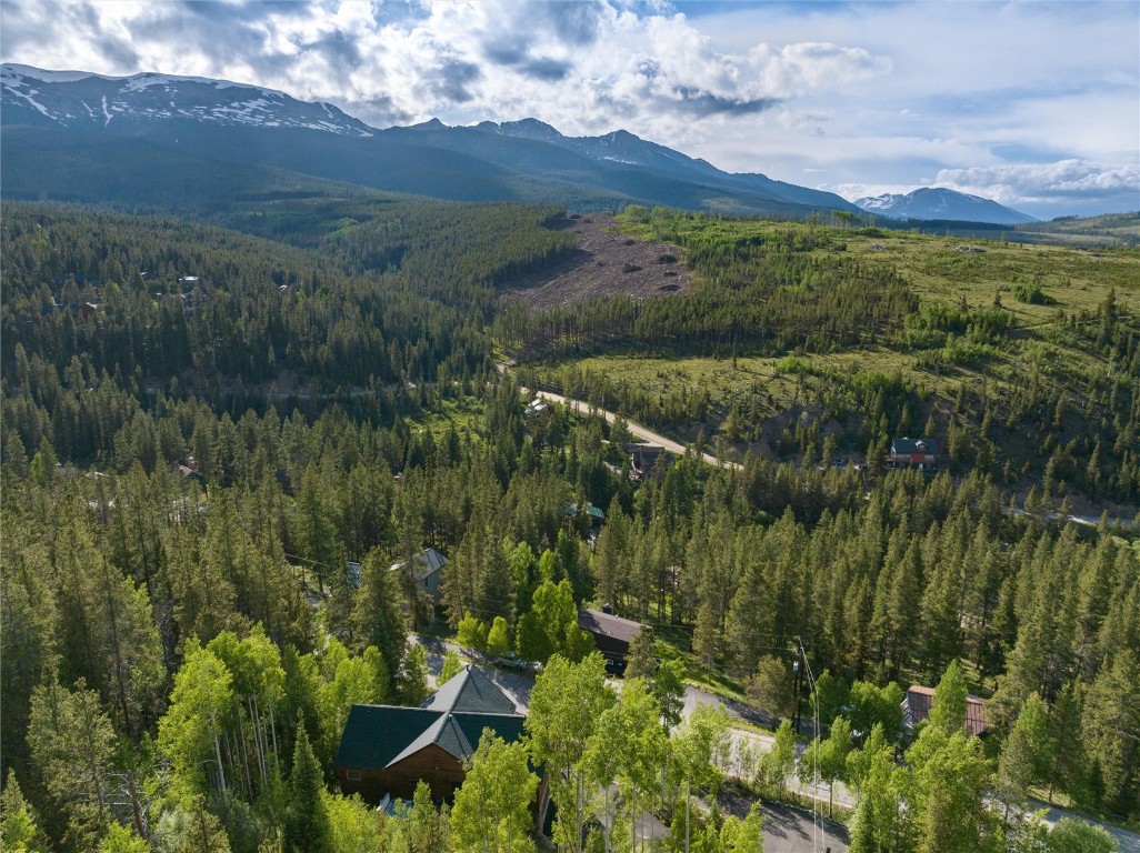373 Blue Ridge Road Breckenridge, CO 80424 - Photo 36 of 38 Gallery Image 36