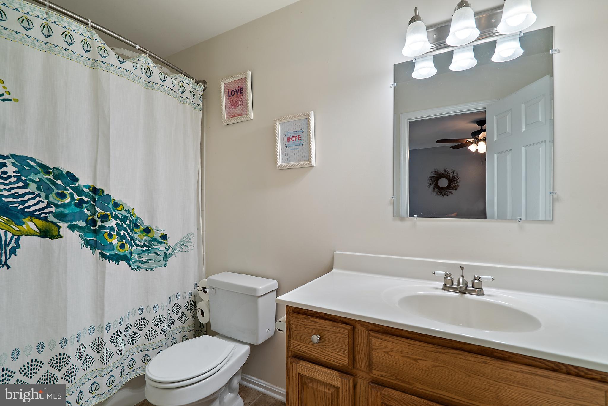 10086 Bear Ridge Rixeyville, VA 22737 - Photo 40 of 61 Bath connected to second bedroom