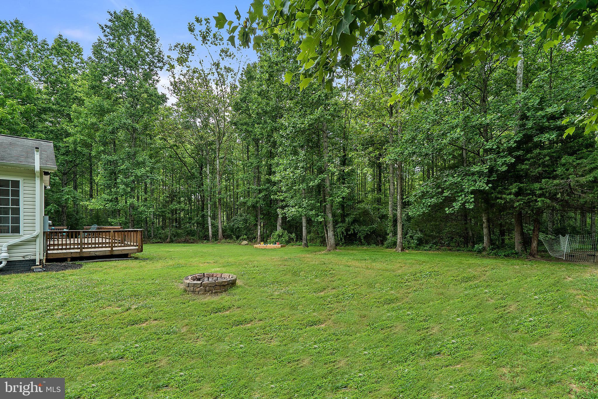 10086 Bear Ridge Rixeyville, VA 22737 - Photo 60 of 61 Mature hardwoods galore