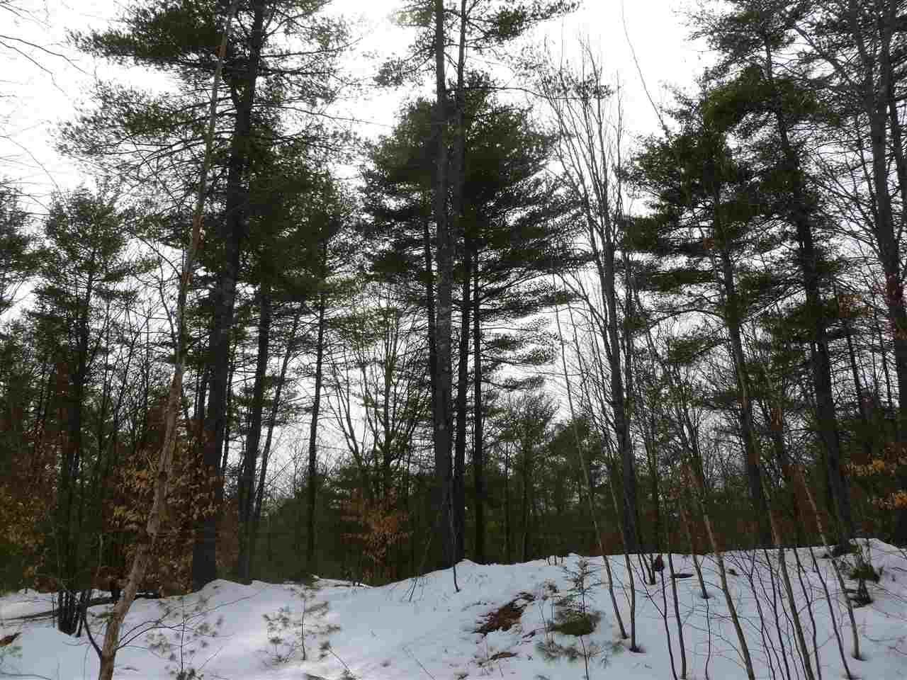 Lot 409-26 Middle Route Gilmanton Iron Works, NH 03837 - Photo 3 of 6