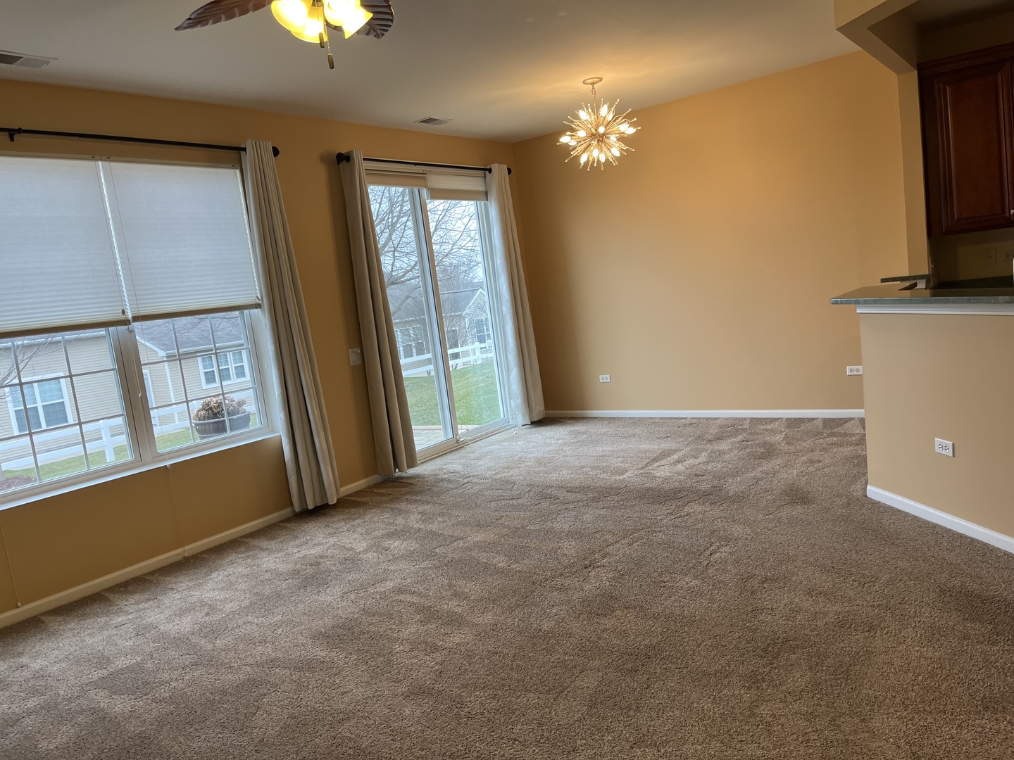 847 Cascade Falls Drive Elgin, IL 60124 - Photo 4 of 19