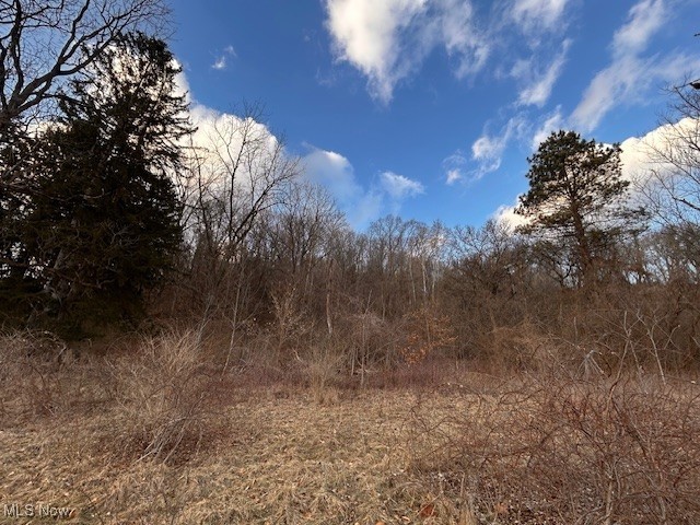 2021 Akron Peninsula Road Akron, OH 44313 - Photo 4 of 8 Gallery Image 4