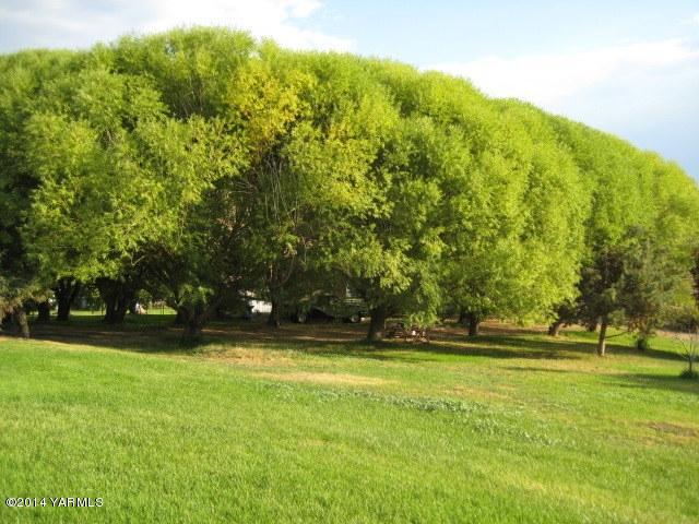1880 Pleasant Hill Road Selah, WA 98942 - Photo 15 of 20 a view of an outdoor space and a yard