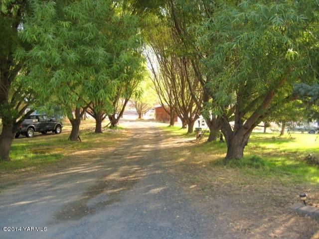 1880 Pleasant Hill Road Selah, WA 98942 - Photo 16 of 20 a view of yard with trees
