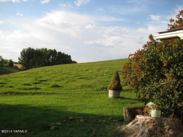 1880 Pleasant Hill Road Selah, WA 98942 - Photo 17 of 20 a big yard with lots of green space