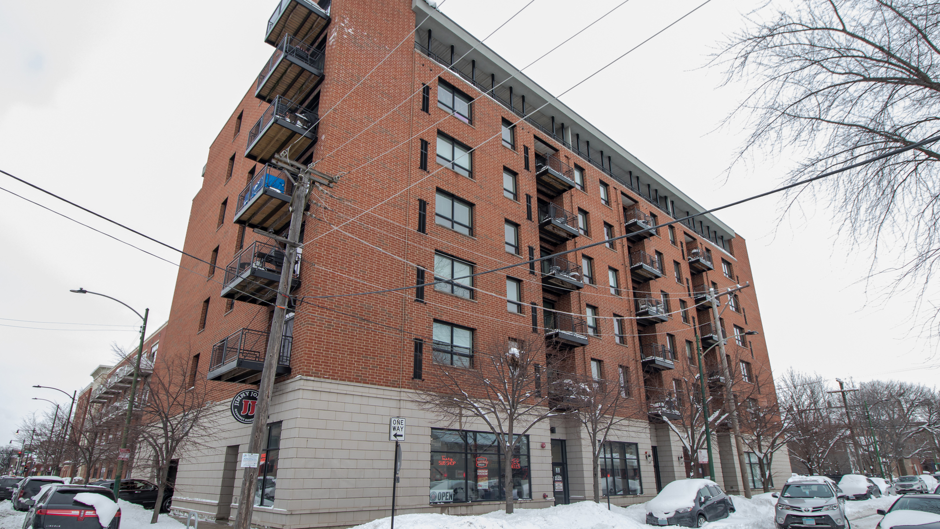 974 West 35th Place, Unit 305 Chicago, IL 60609 - Photo 1 of 19