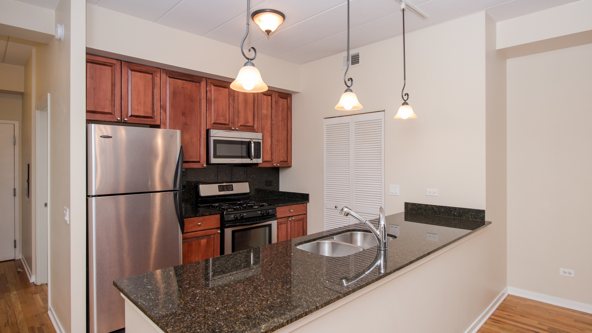 974 West 35th Place, Unit 305 Chicago, IL 60609 - Photo 3 of 19