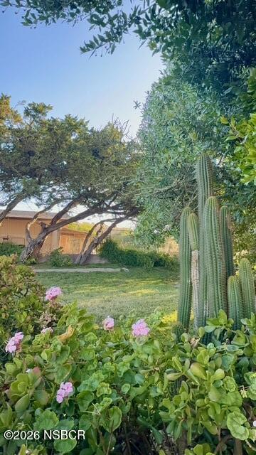6968 Cat Canyon Road Santa Maria, CA 93454 - Photo 53 of 68 IMG_7025