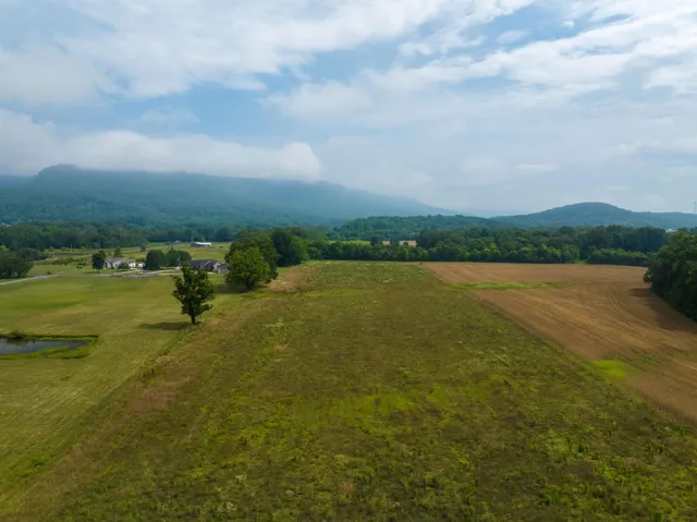 a view of a lake with houses in the back