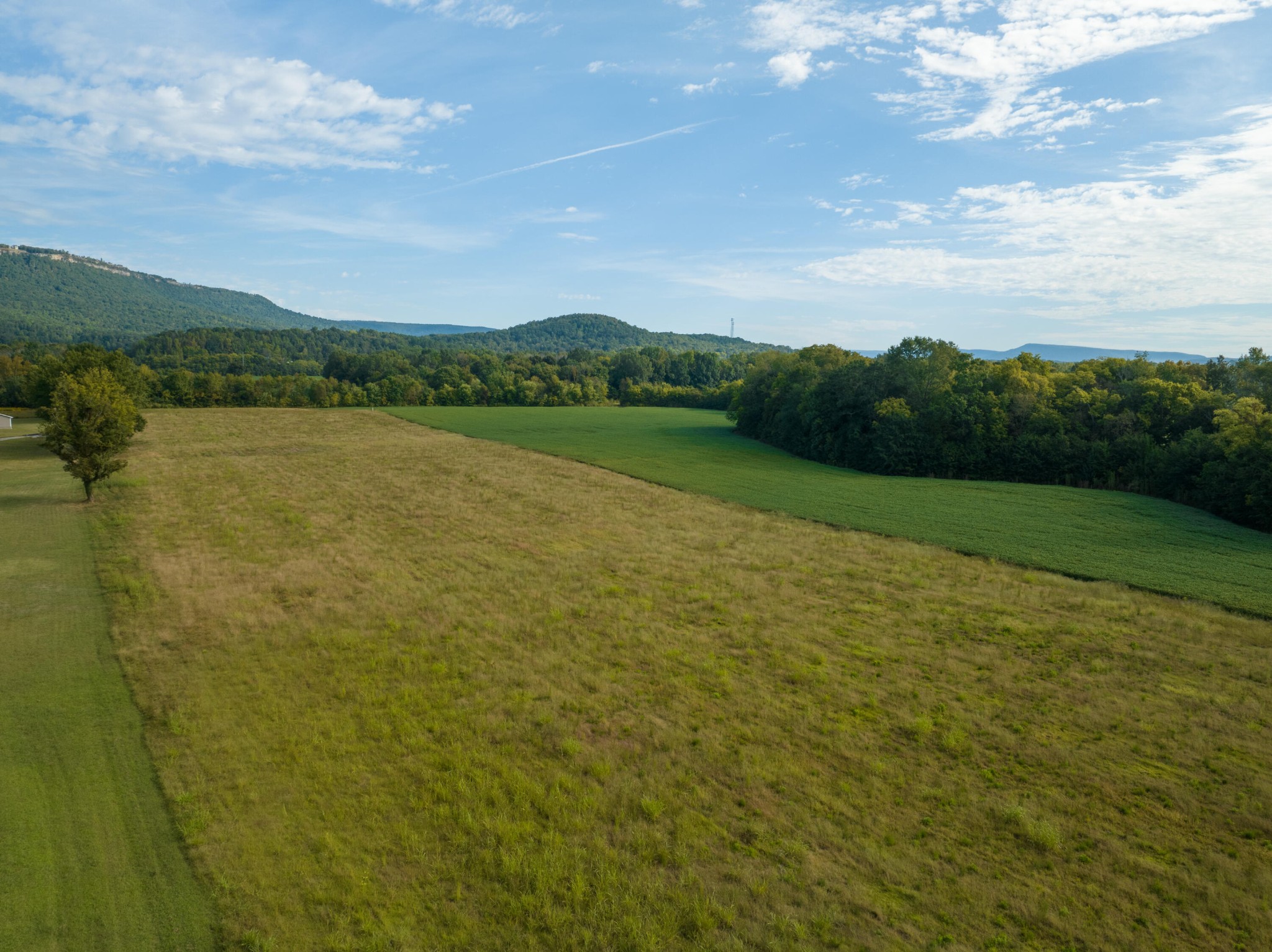 0 Water Front Place Jasper, TN 37347 - Photo 9 of 18 a view of a lake with a big yard