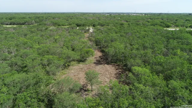 a view of a green field with lots of bushes