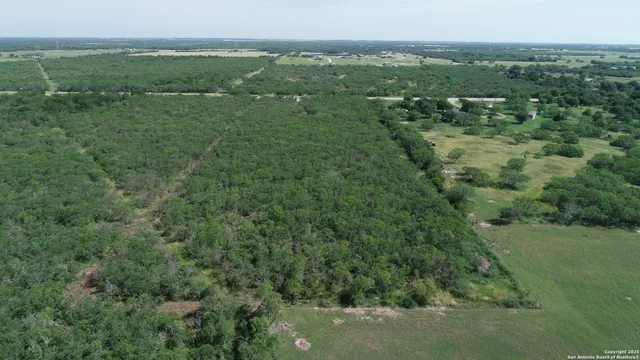 an aerial view of residential houses with outdoor space and trees