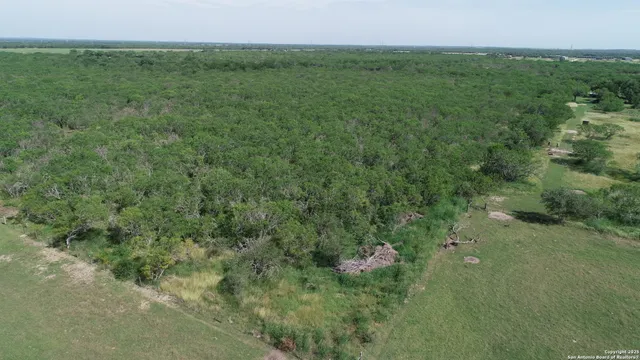 a view of a field of grass and trees