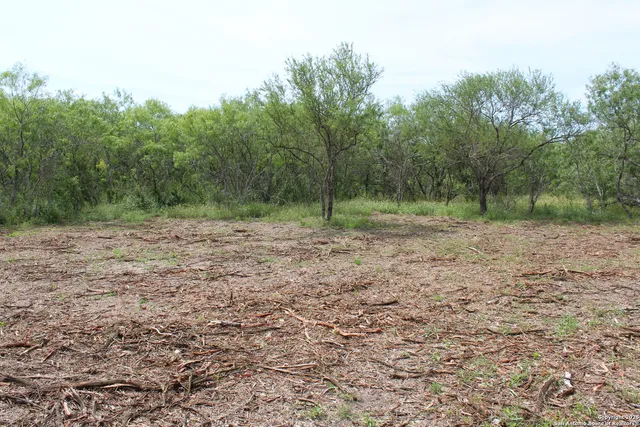 a view of outdoor space with trees all around
