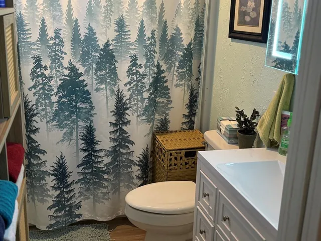 a bathroom with a sink toilet and shower