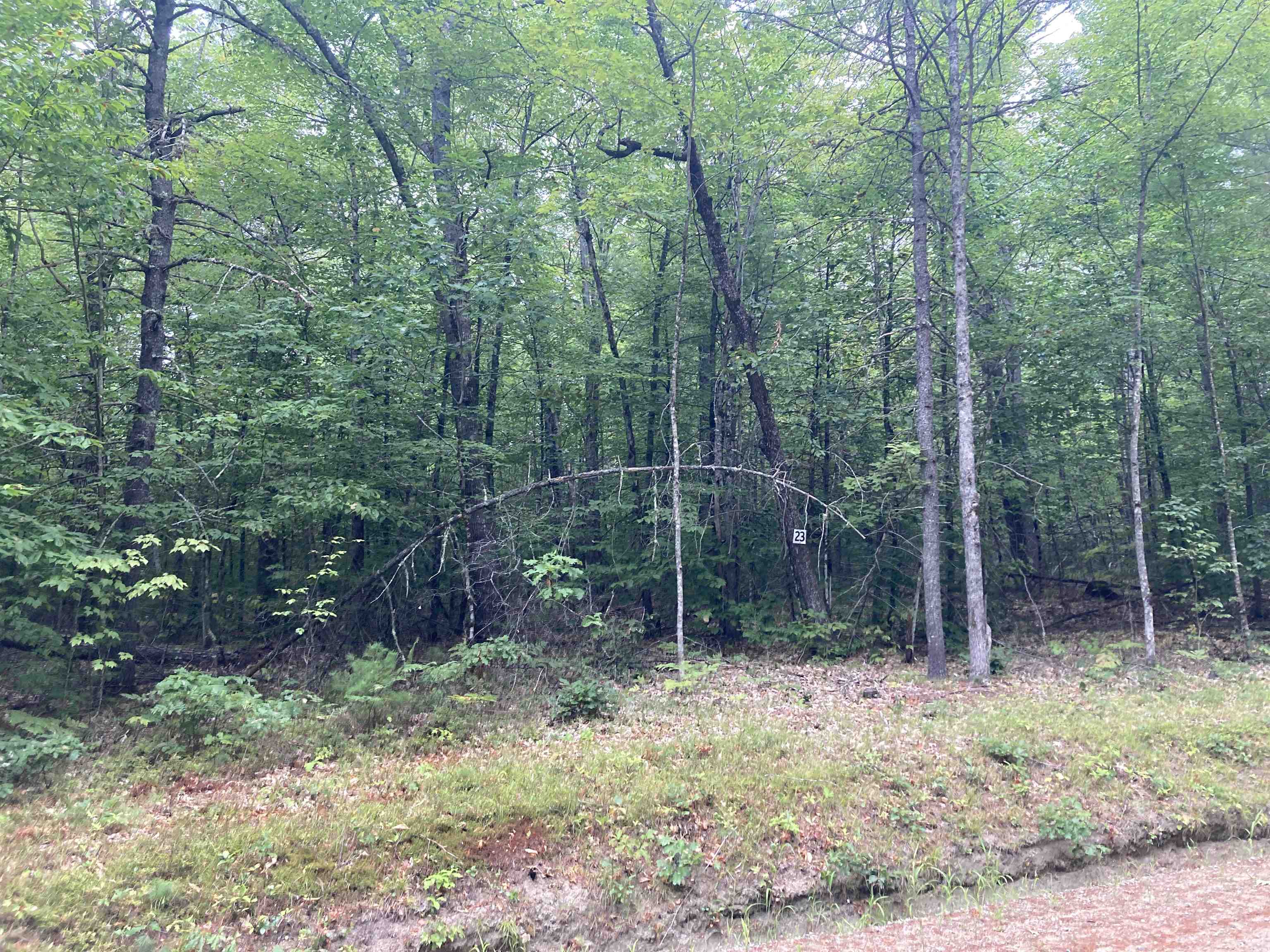 0 Round Pond Road, Unit 23 Freedom, NH 03836 - Photo 6 of 8 Gallery Image 6