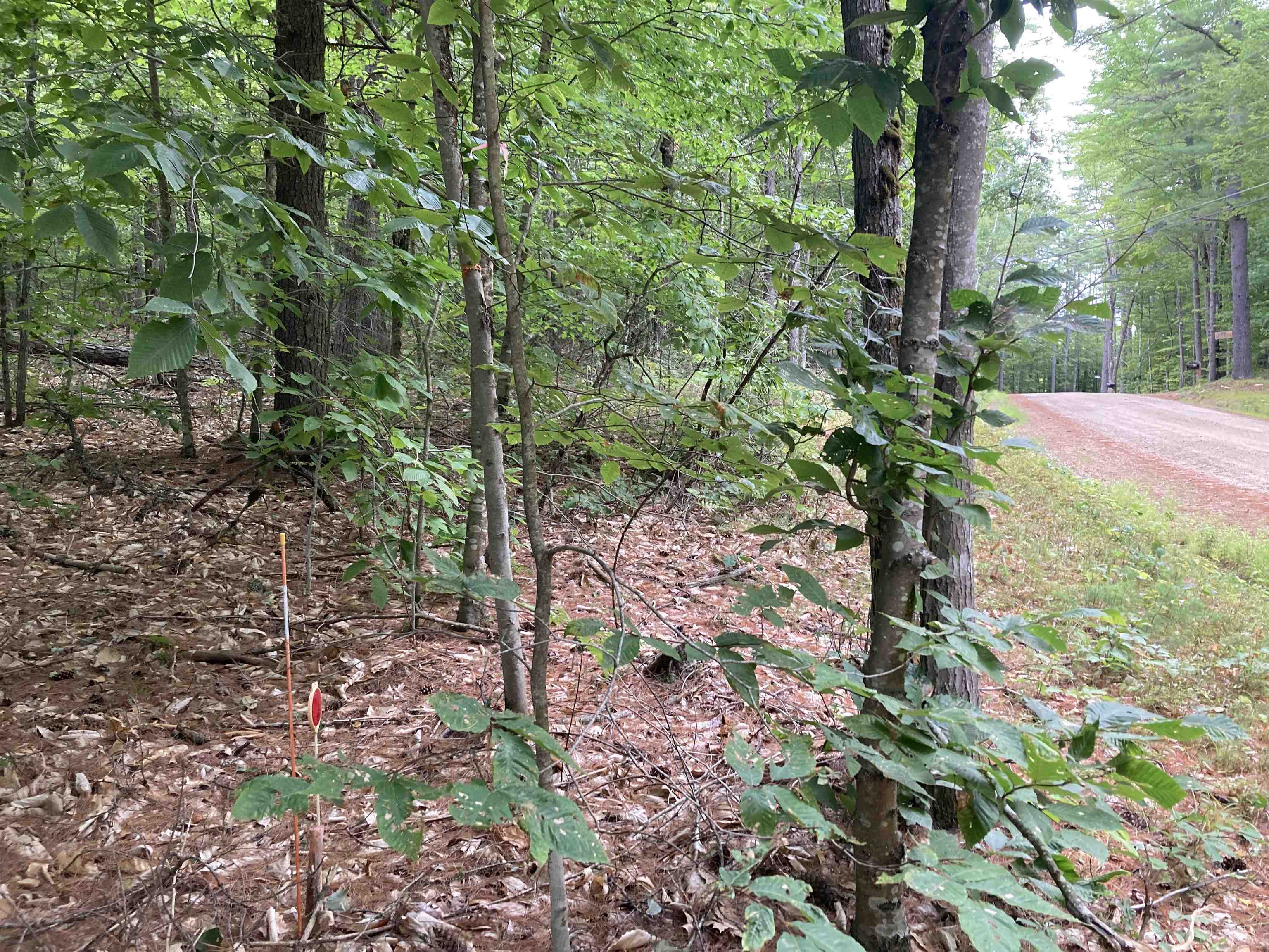 0 Round Pond Road, Unit 23 Freedom, NH 03836 - Photo 7 of 8 Gallery Image 7
