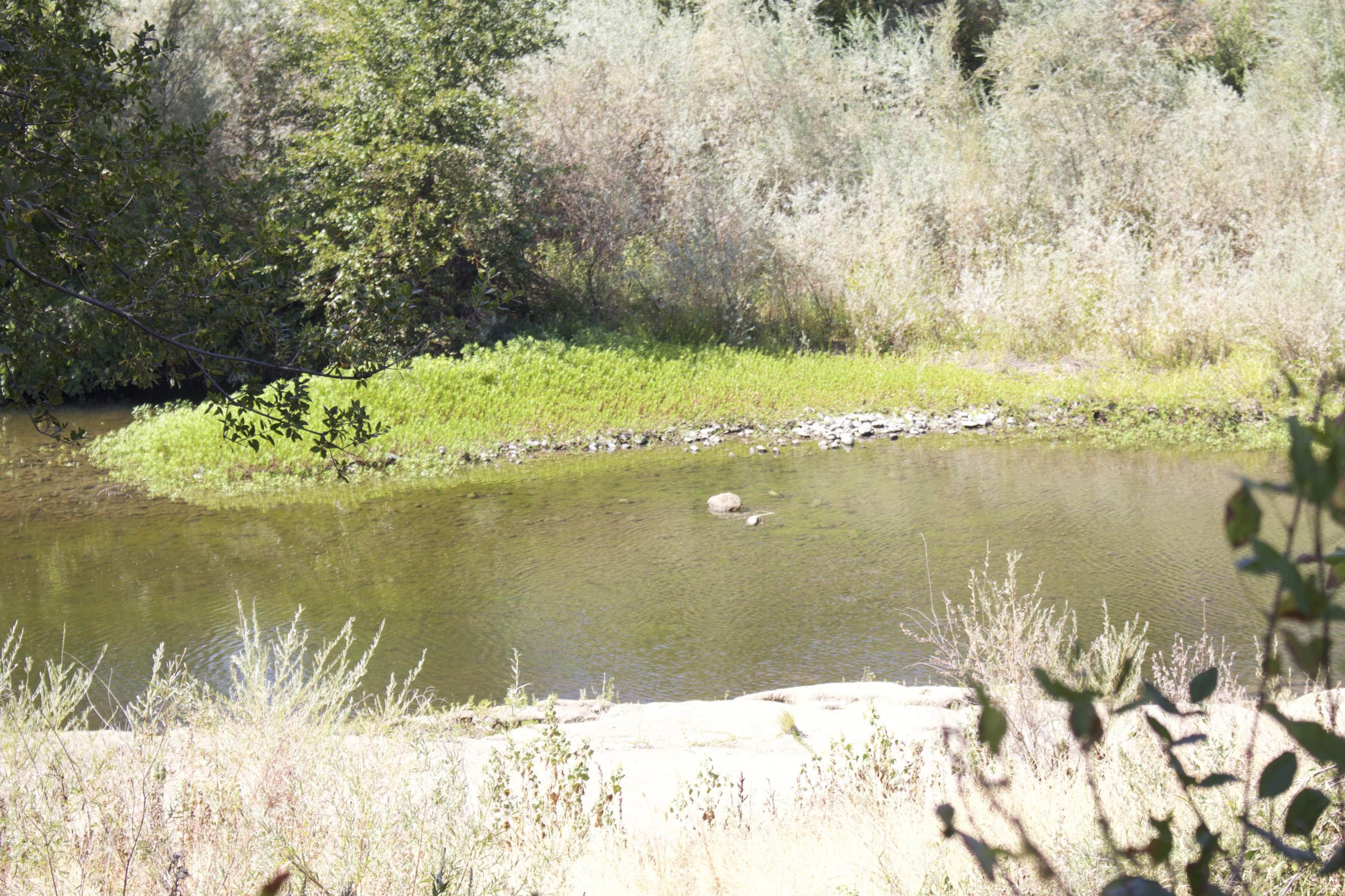 8588 Silver Bridge Road Palo Cedro, CA 96073 - Photo 4 of 29 2016-09-07 02.03.58