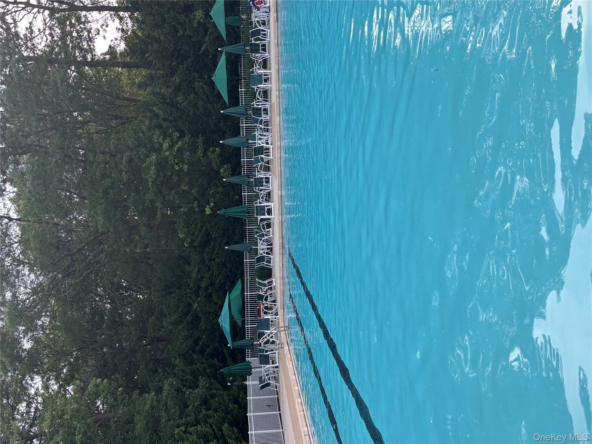 1661 Old Country Road, Unit 543 Riverhead, NY 11901 - Photo 21 of 26 Community pool with a patio and a view of trees