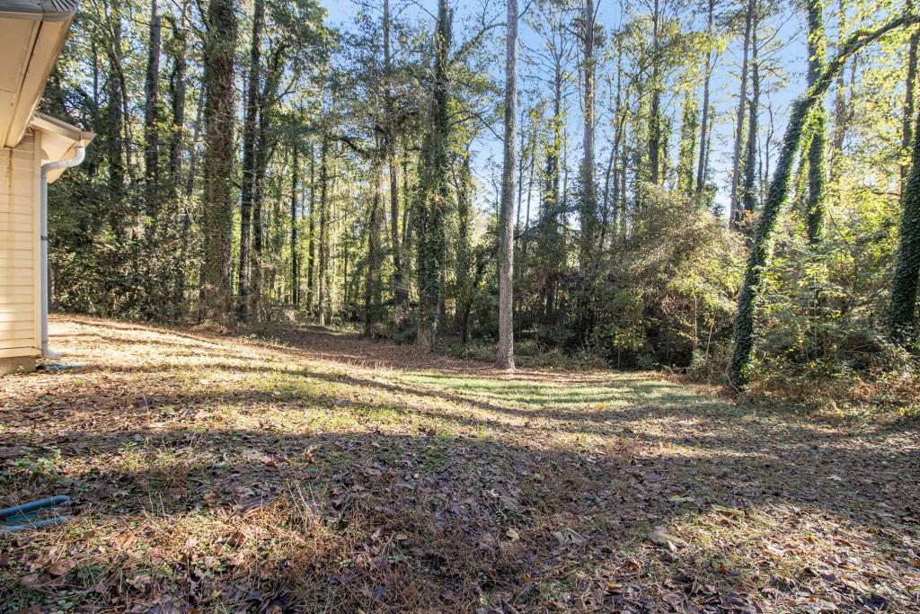 5774 Taffeta Court Lithonia, GA 30058 - Photo 23 of 25 a view of a yard with large trees
