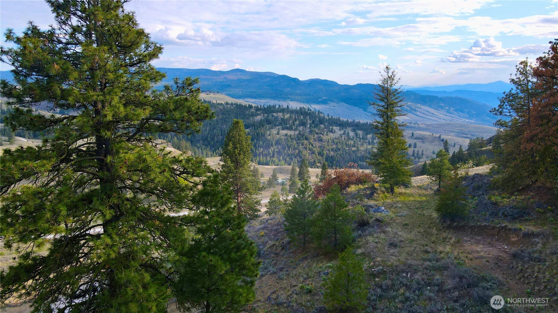 -tbd Blue Grouse Road Oroville, WA 98844 - Photo 1 of 31 a view of a lake in middle of forest