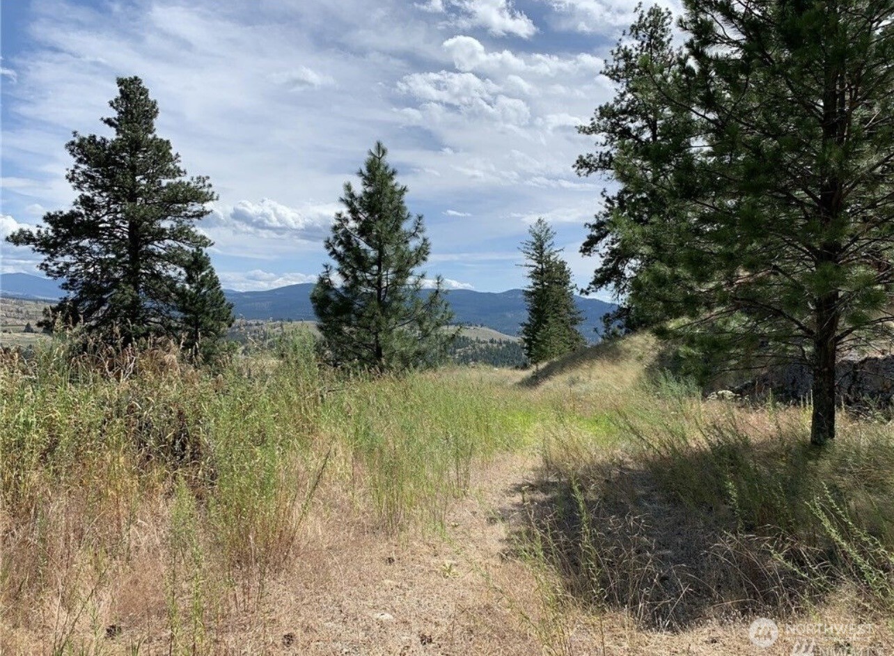 -tbd Blue Grouse Road Oroville, WA 98844 - Photo 12 of 31 a view of a yard
