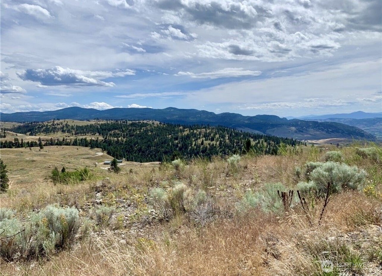 -tbd Blue Grouse Road Oroville, WA 98844 - Photo 13 of 31