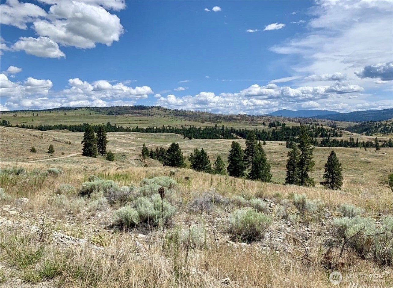 -tbd Blue Grouse Road Oroville, WA 98844 - Photo 15 of 31 a view of lake