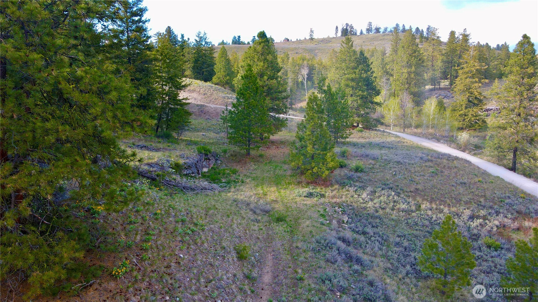 -tbd Blue Grouse Road Oroville, WA 98844 - Photo 16 of 31 a view of a city with lush green forest