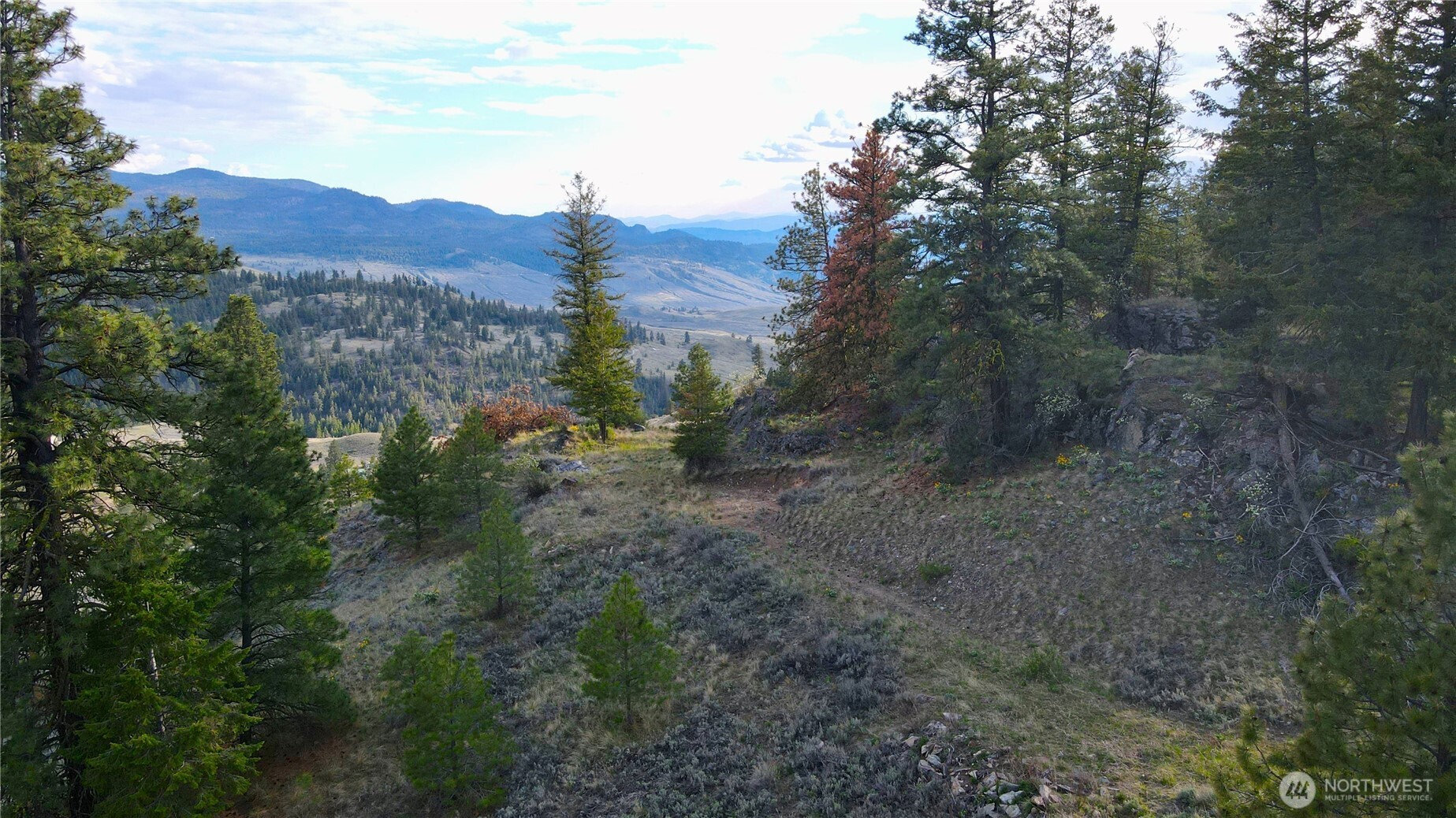 -tbd Blue Grouse Road Oroville, WA 98844 - Photo 17 of 31 a view of a mountain range with trees in the background