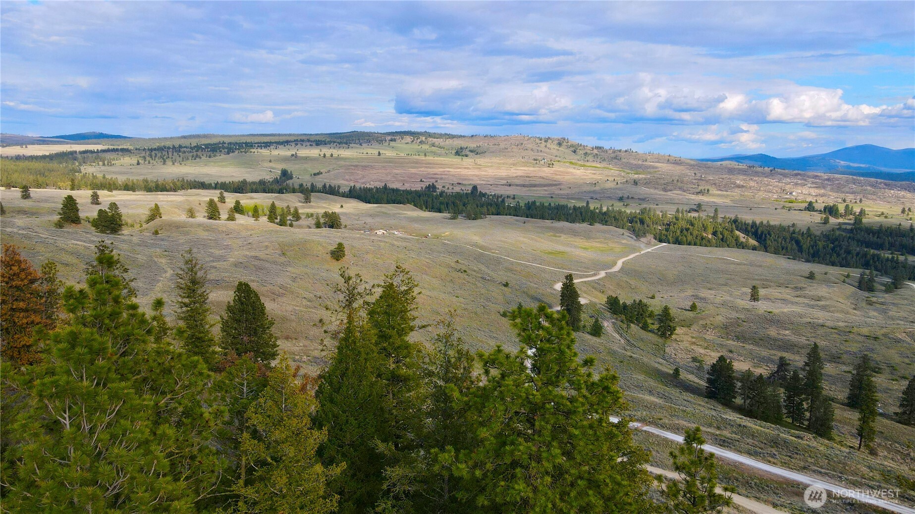 -tbd Blue Grouse Road Oroville, WA 98844 - Photo 2 of 31