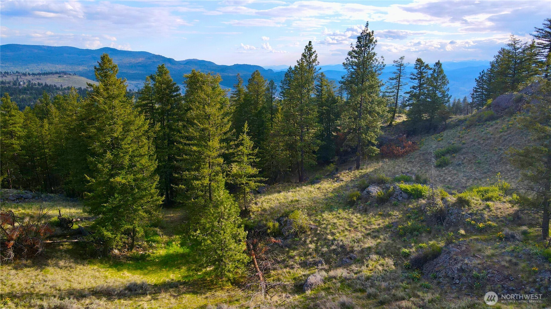 -tbd Blue Grouse Road Oroville, WA 98844 - Photo 23 of 31 a view of a yard