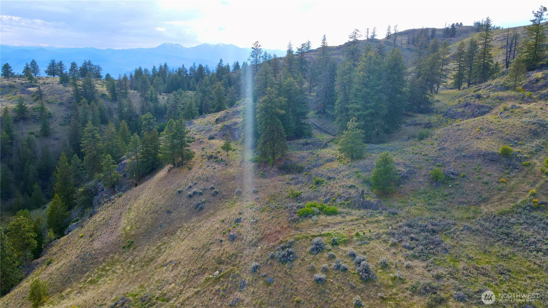 -tbd Blue Grouse Road Oroville, WA 98844 - Photo 27 of 31 a view of a forest with trees in the background
