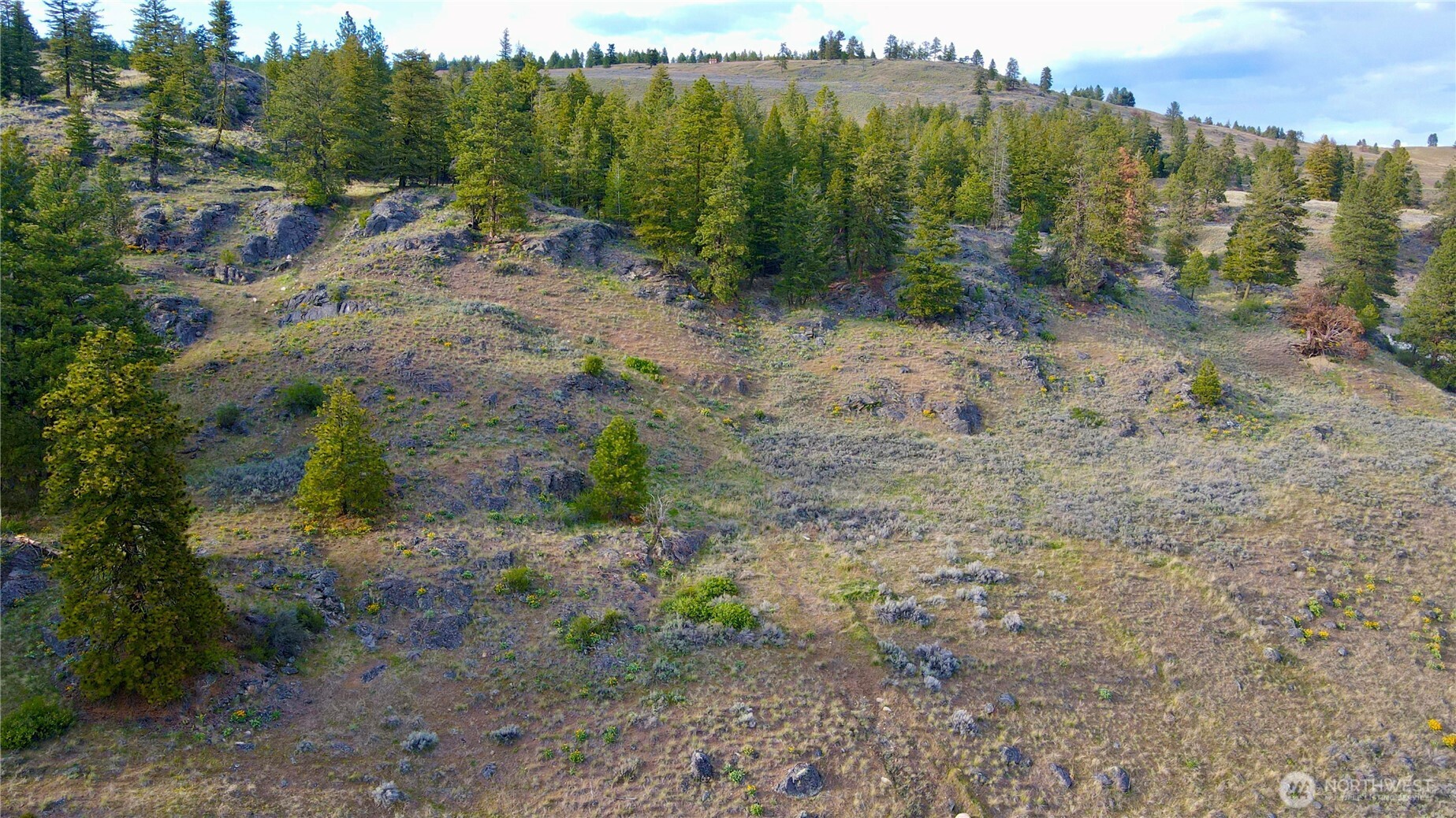 -tbd Blue Grouse Road Oroville, WA 98844 - Photo 28 of 31 a view of a forest with trees in the background