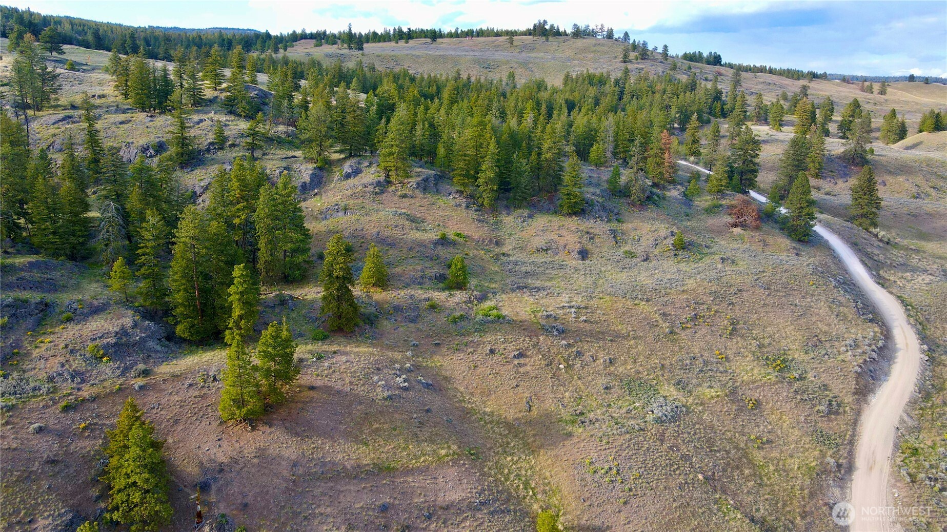 -tbd Blue Grouse Road Oroville, WA 98844 - Photo 29 of 31 a view of a forest with a lake