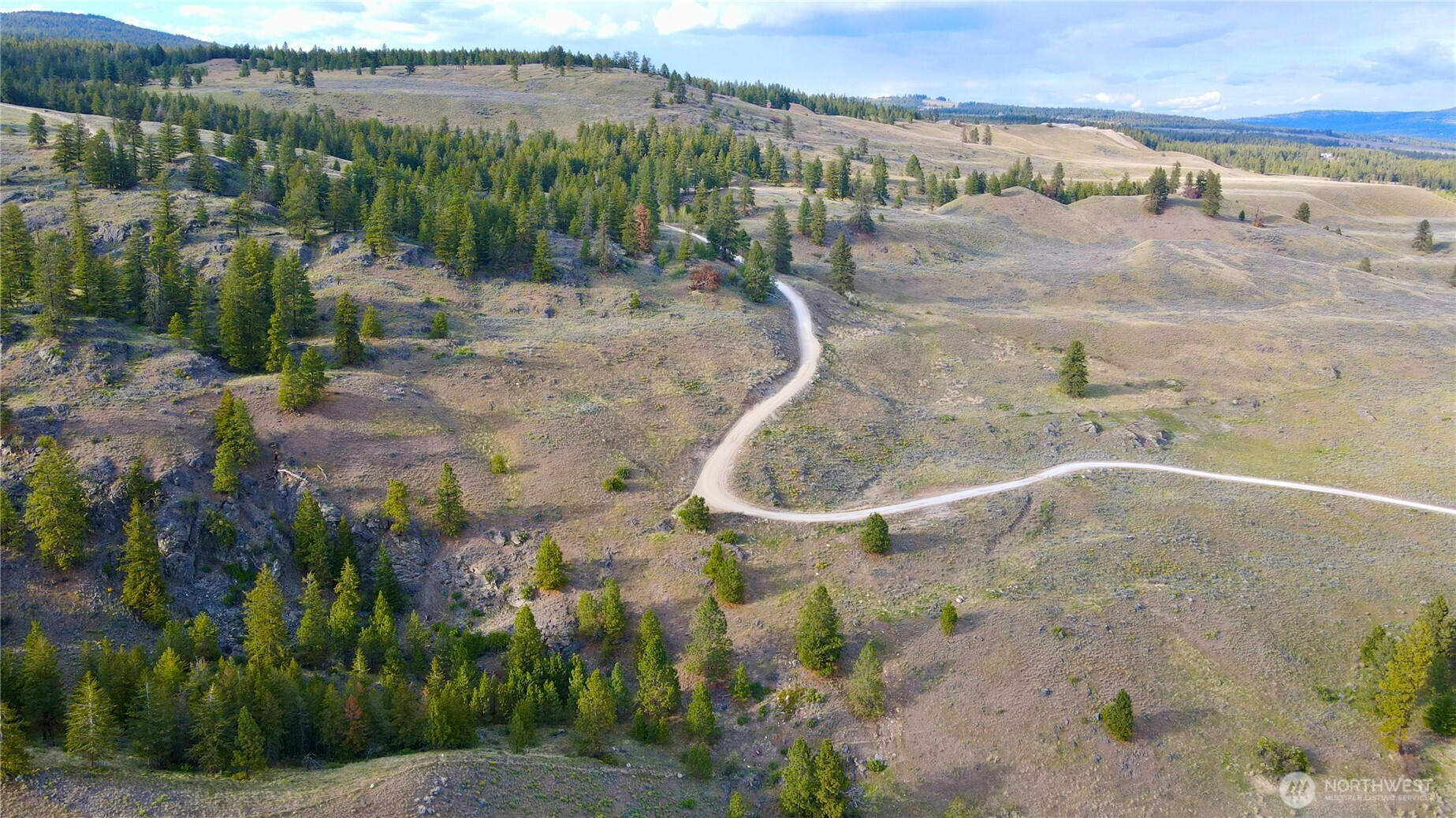 -tbd Blue Grouse Road Oroville, WA 98844 - Photo 30 of 31 a view of a dry yard with large trees