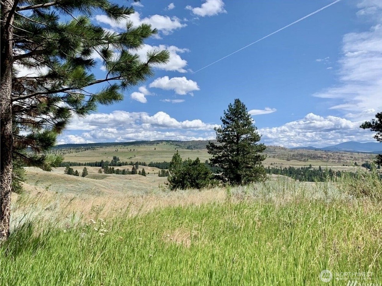 -tbd Blue Grouse Road Oroville, WA 98844 - Photo 5 of 31 a view of swimming pool with a yard