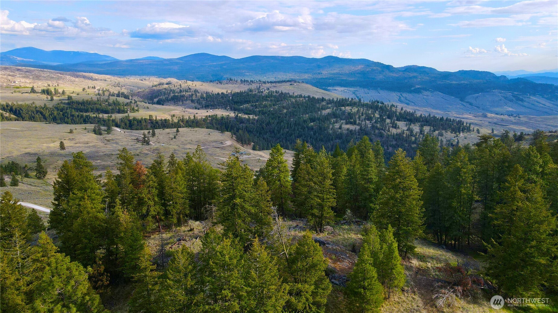 -tbd Blue Grouse Road Oroville, WA 98844 - Photo 9 of 31 a view of a lush green hillside and a mountain