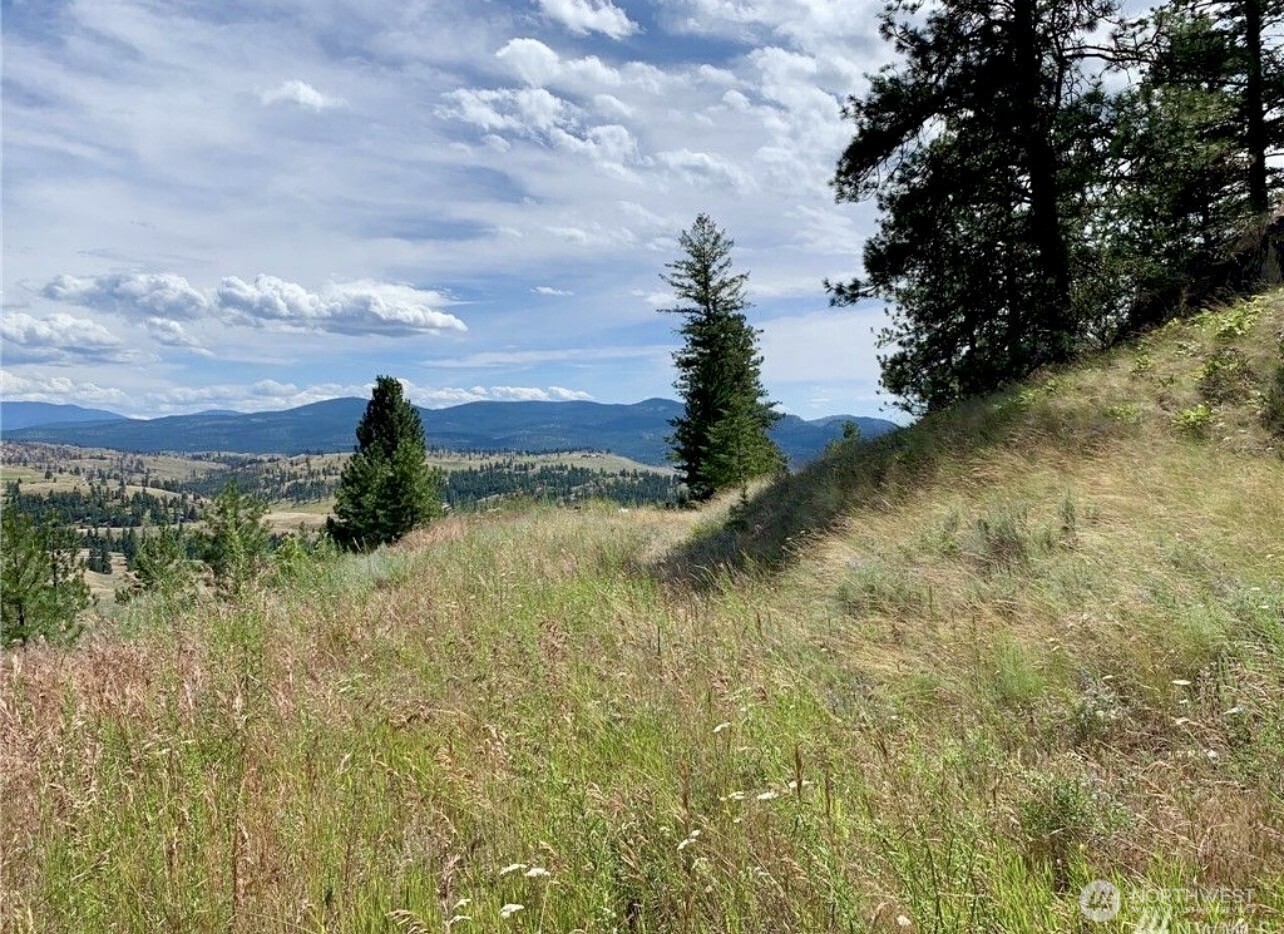 -tbd Blue Grouse Road Oroville, WA 98844 - Photo 10 of 31 a view of a lake with a yard